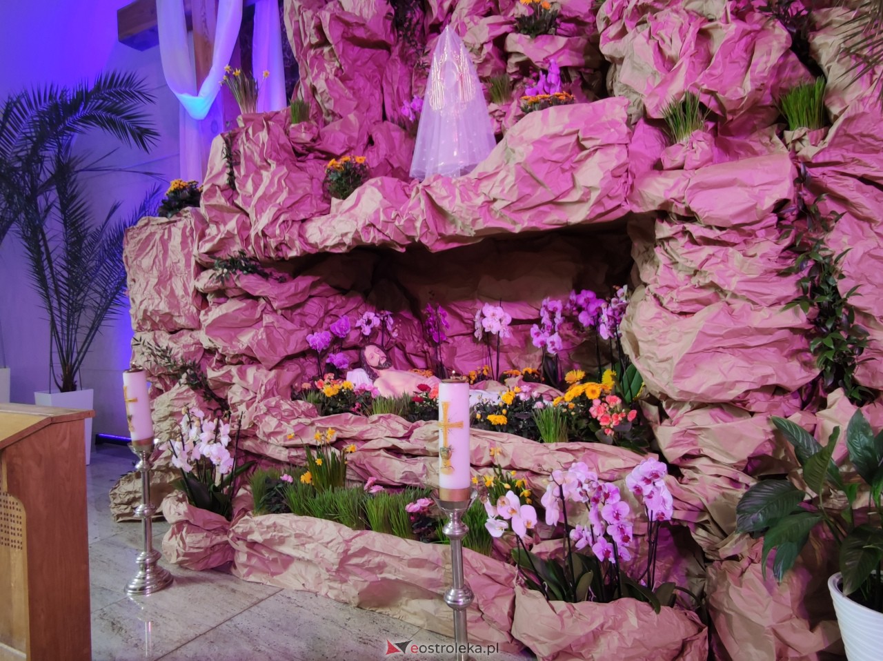 Groby Jezusa w ostrołęckich kościołach [8.04.2023] - zdjęcie #19 - eOstroleka.pl