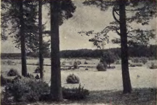 Unikalne zdjęcia Kurpiów 1937 r. Rodzina Polska - zdjęcie #10 - eOstroleka.pl