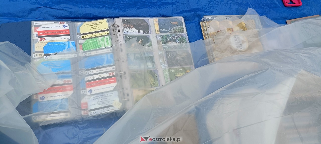 Pchli Targ w Ostrołęce [15.04.2023] - zdjęcie #60 - eOstroleka.pl