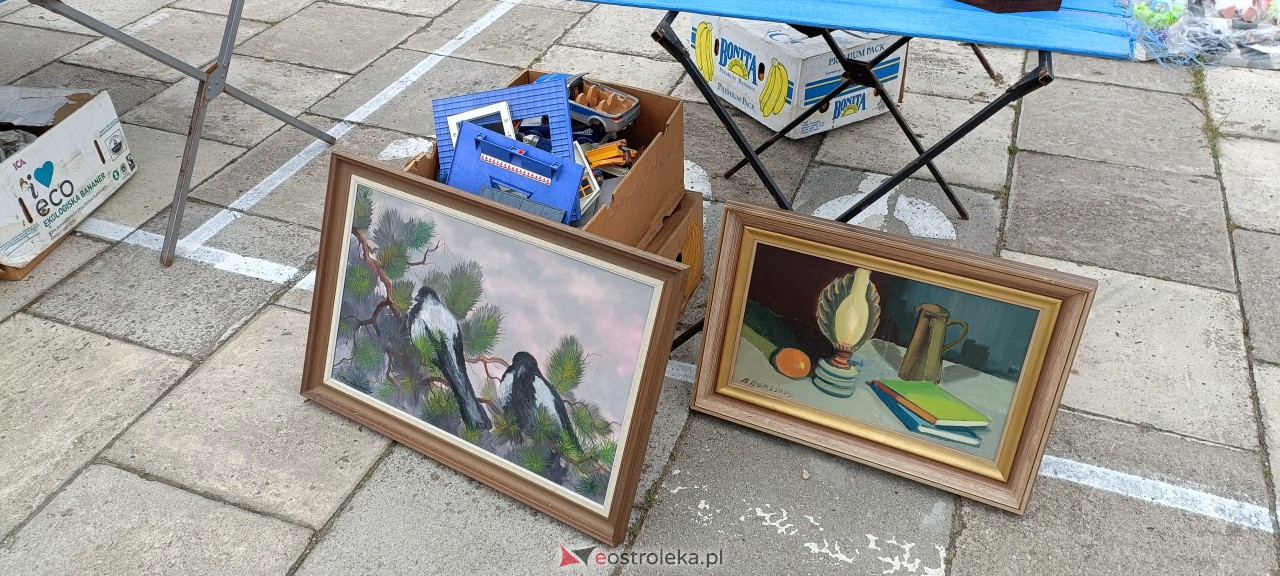 Pchli Targ w Ostrołęce [15.04.2023] - zdjęcie #51 - eOstroleka.pl