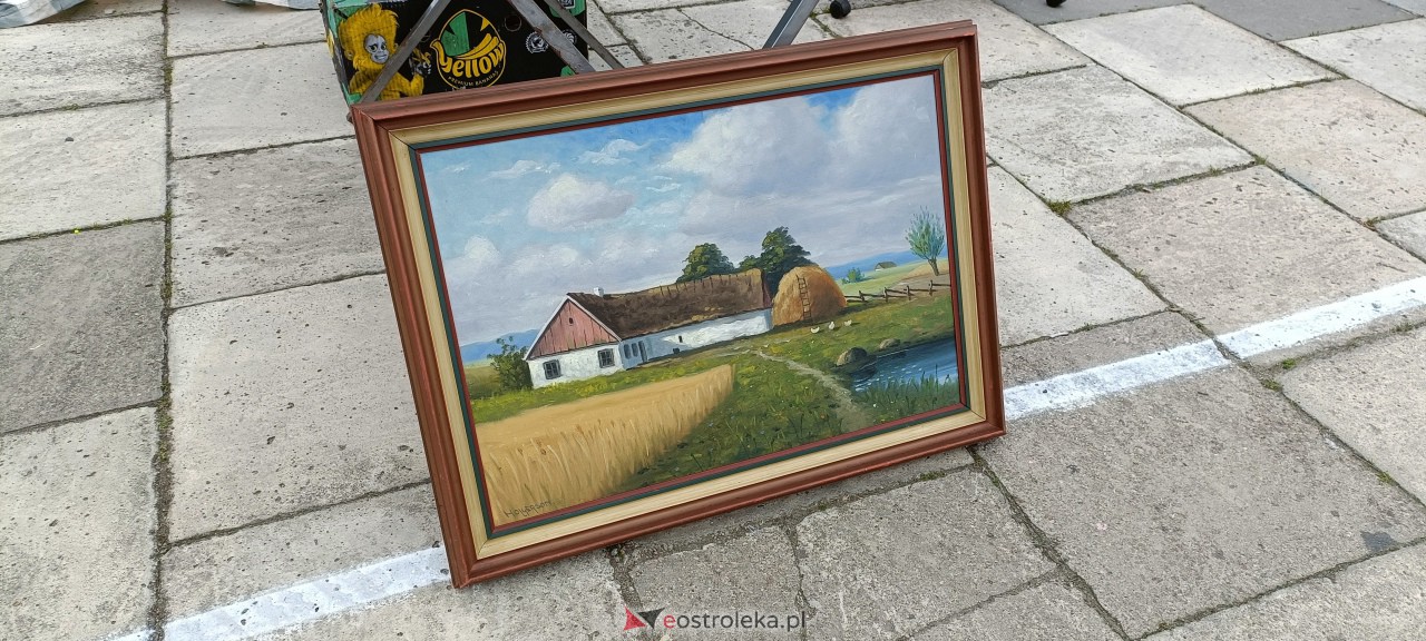 Pchli Targ w Ostrołęce [15.04.2023] - zdjęcie #48 - eOstroleka.pl