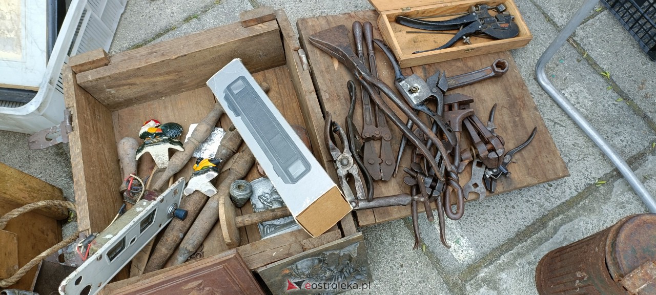 Pchli Targ w Ostrołęce [15.04.2023] - zdjęcie #13 - eOstroleka.pl