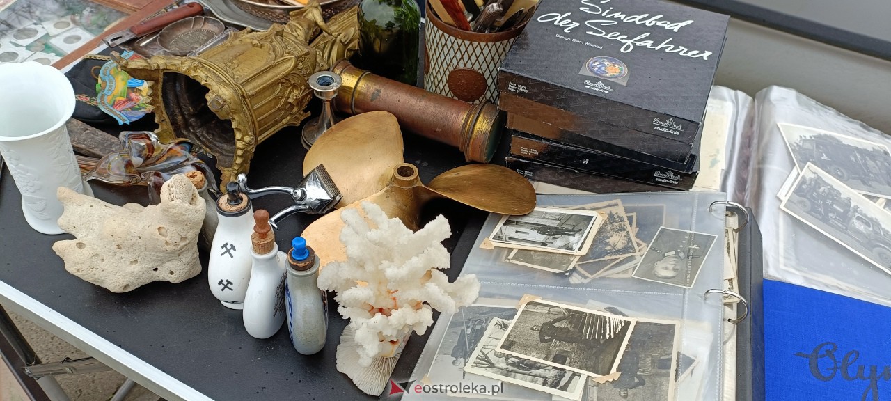 Pchli Targ w Ostrołęce [15.04.2023] - zdjęcie #12 - eOstroleka.pl