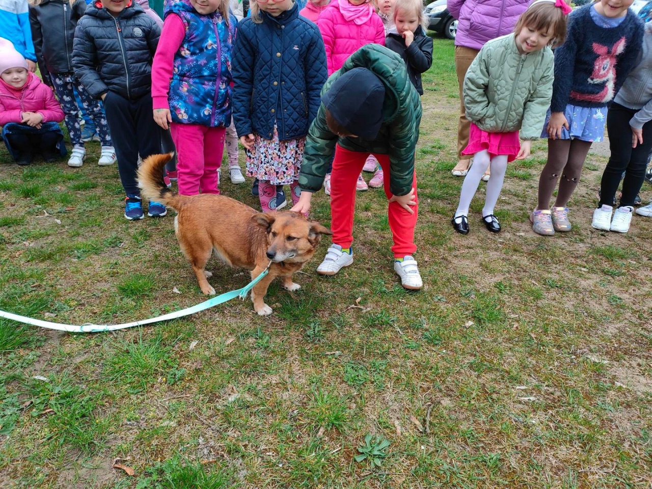 Pełna miska dla schroniska w Krainie Radości [26.04.2023] - zdjęcie #11 - eOstroleka.pl