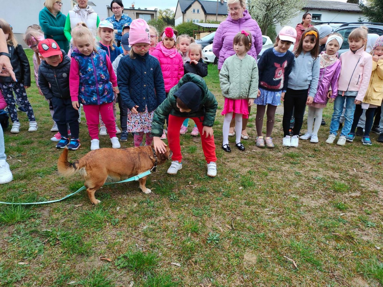 Pełna miska dla schroniska w Krainie Radości [26.04.2023] - zdjęcie #9 - eOstroleka.pl
