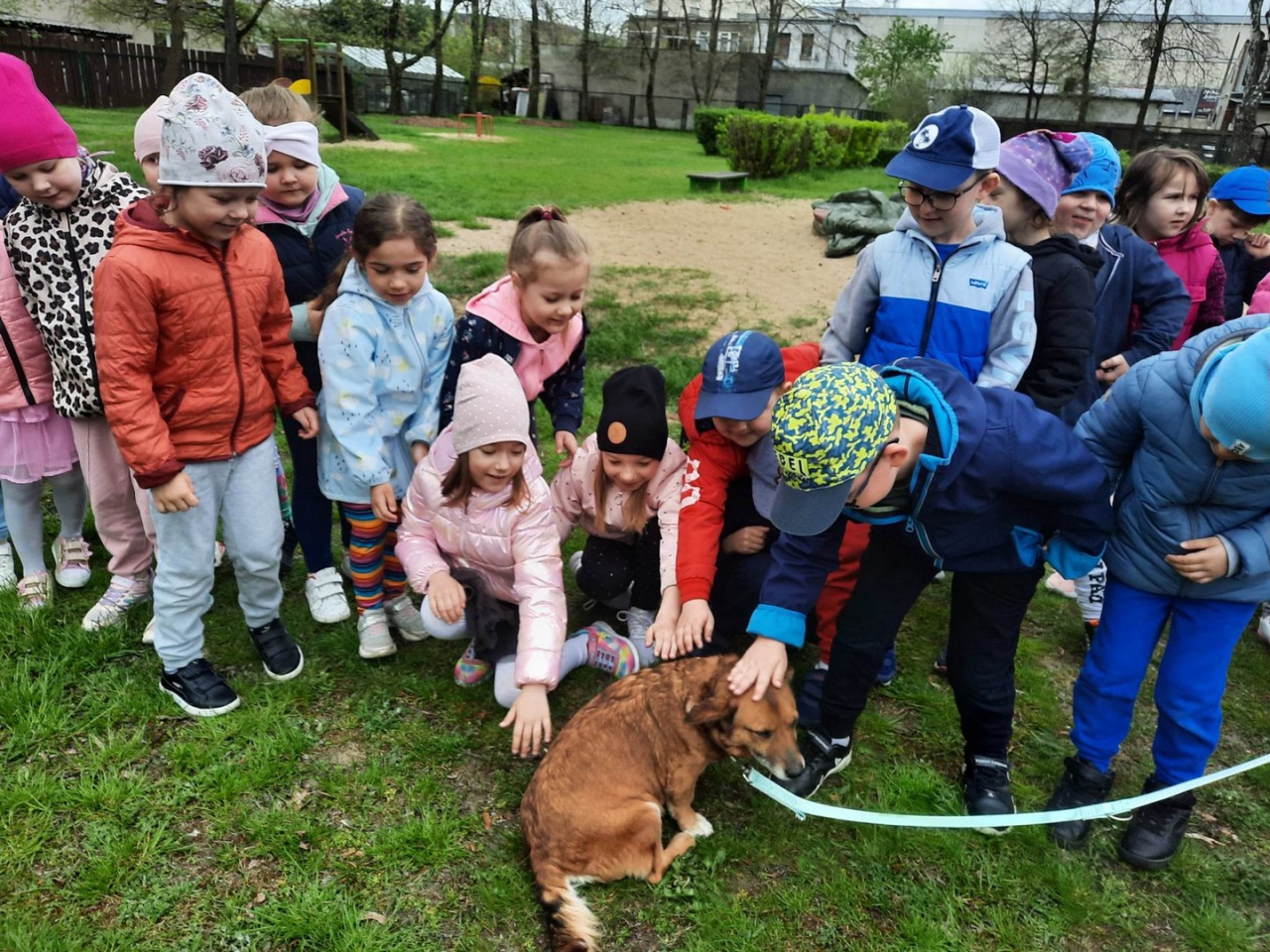 Pełna miska dla schroniska w Krainie Radości [26.04.2023] - zdjęcie #5 - eOstroleka.pl