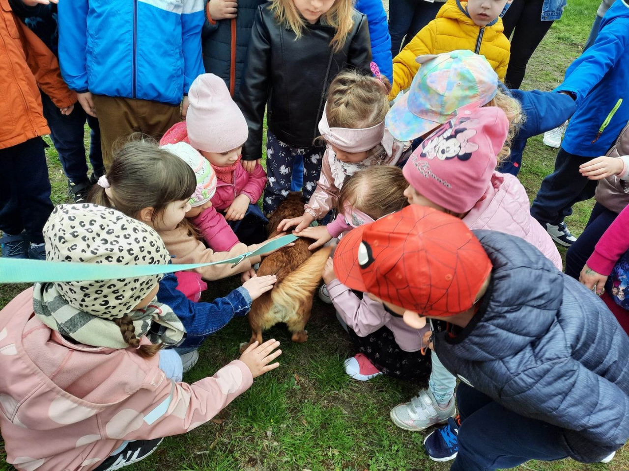 Pełna miska dla schroniska w Krainie Radości [26.04.2023] - zdjęcie #4 - eOstroleka.pl