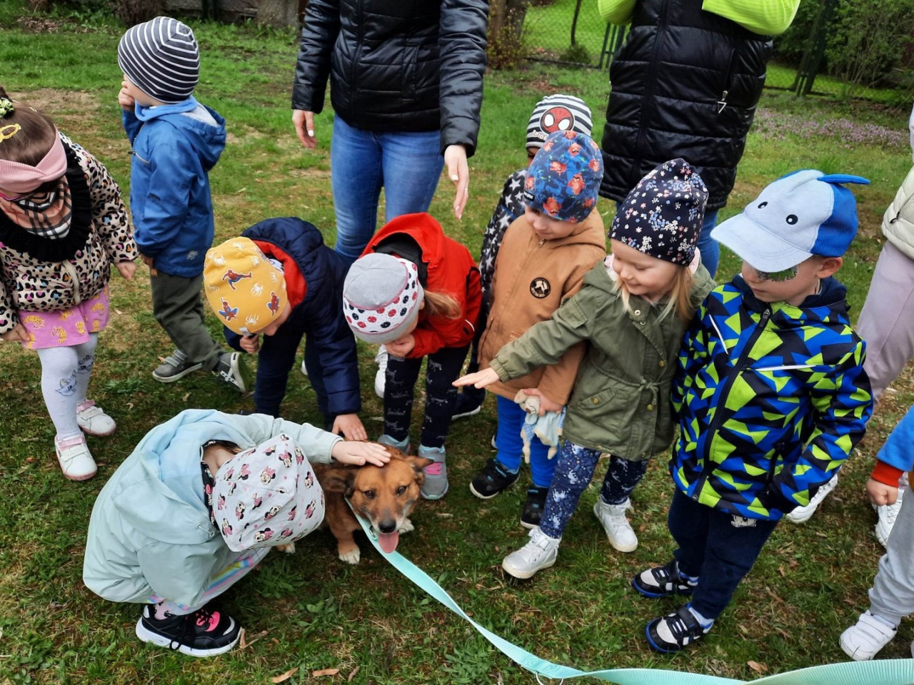 Pełna miska dla schroniska w Krainie Radości [26.04.2023] - zdjęcie #3 - eOstroleka.pl