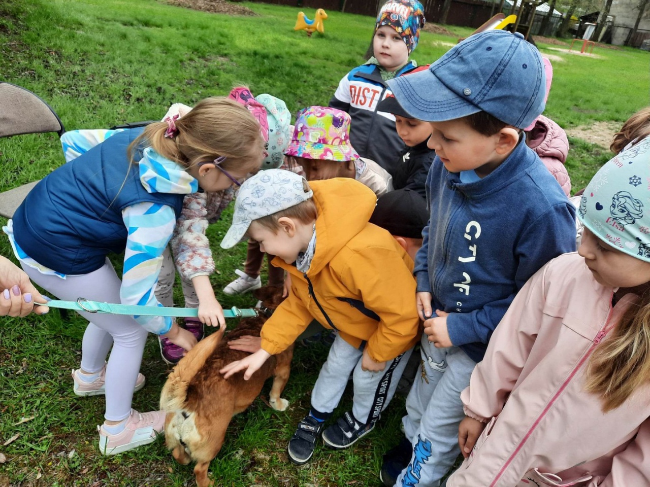 Pełna miska dla schroniska w Krainie Radości [26.04.2023] - zdjęcie #2 - eOstroleka.pl