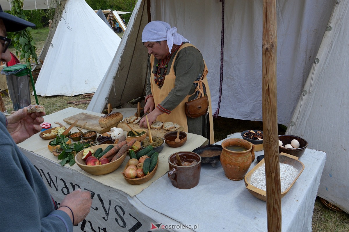 Piknik historyczny na grodzisku w Ostrołęce [13.05.2023] - zdjęcie #47 - eOstroleka.pl