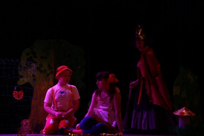 XI Mazowiecki Festiwal Teatrów Amatorskich (05.05.2011) - zdjęcie #21 - eOstroleka.pl