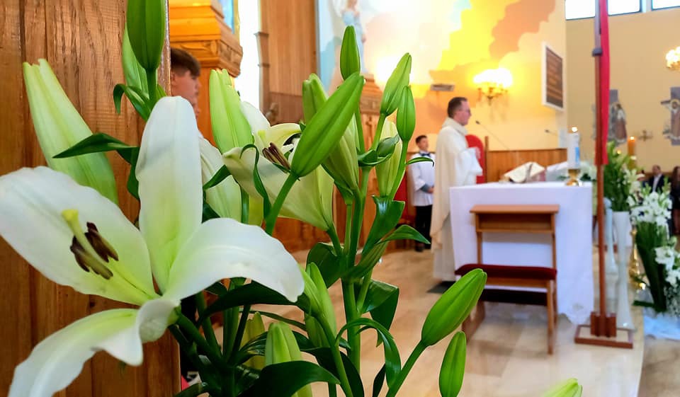 Pierwsza Komunia Święta w Obierwi - fot. RN [13.05.2023] - zdjęcie #17 - eOstroleka.pl