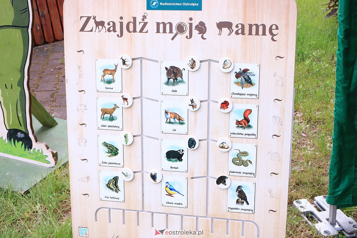 Dzień Ziemi w Lipiance pod hasłem “Inwestuj w naszą planetę” [18.05.2023]] - zdjęcie #51 - eOstroleka.pl