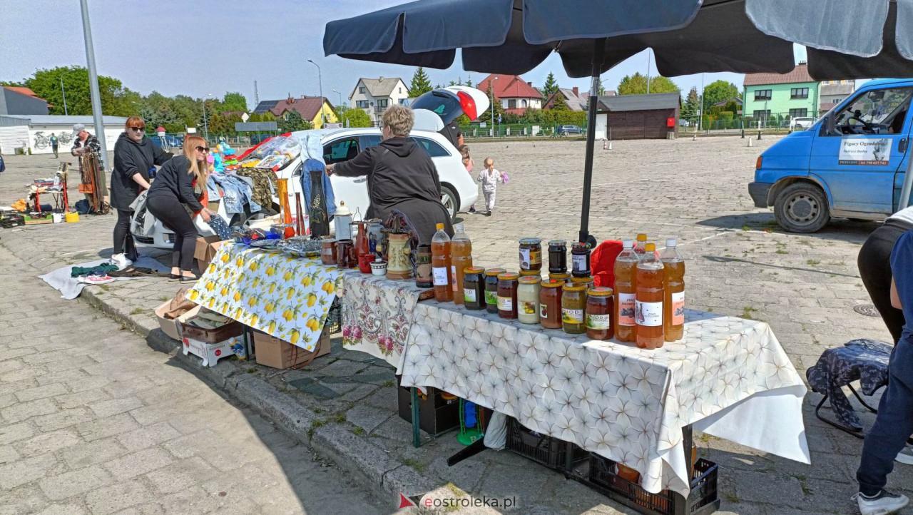 Pchli Targ w Ostrołęce [20.05.2023] - zdjęcie #130 - eOstroleka.pl