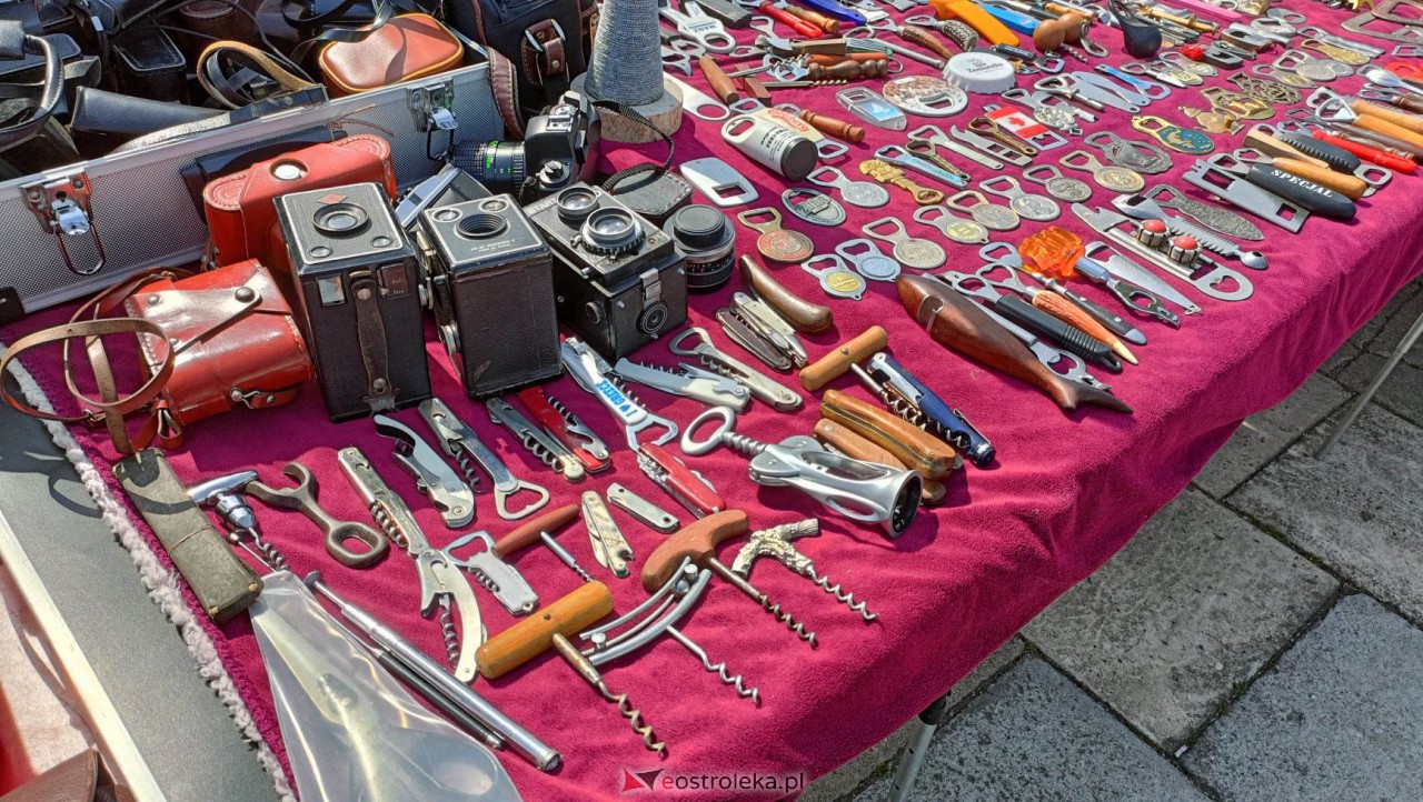 Pchli Targ w Ostrołęce [20.05.2023] - zdjęcie #88 - eOstroleka.pl