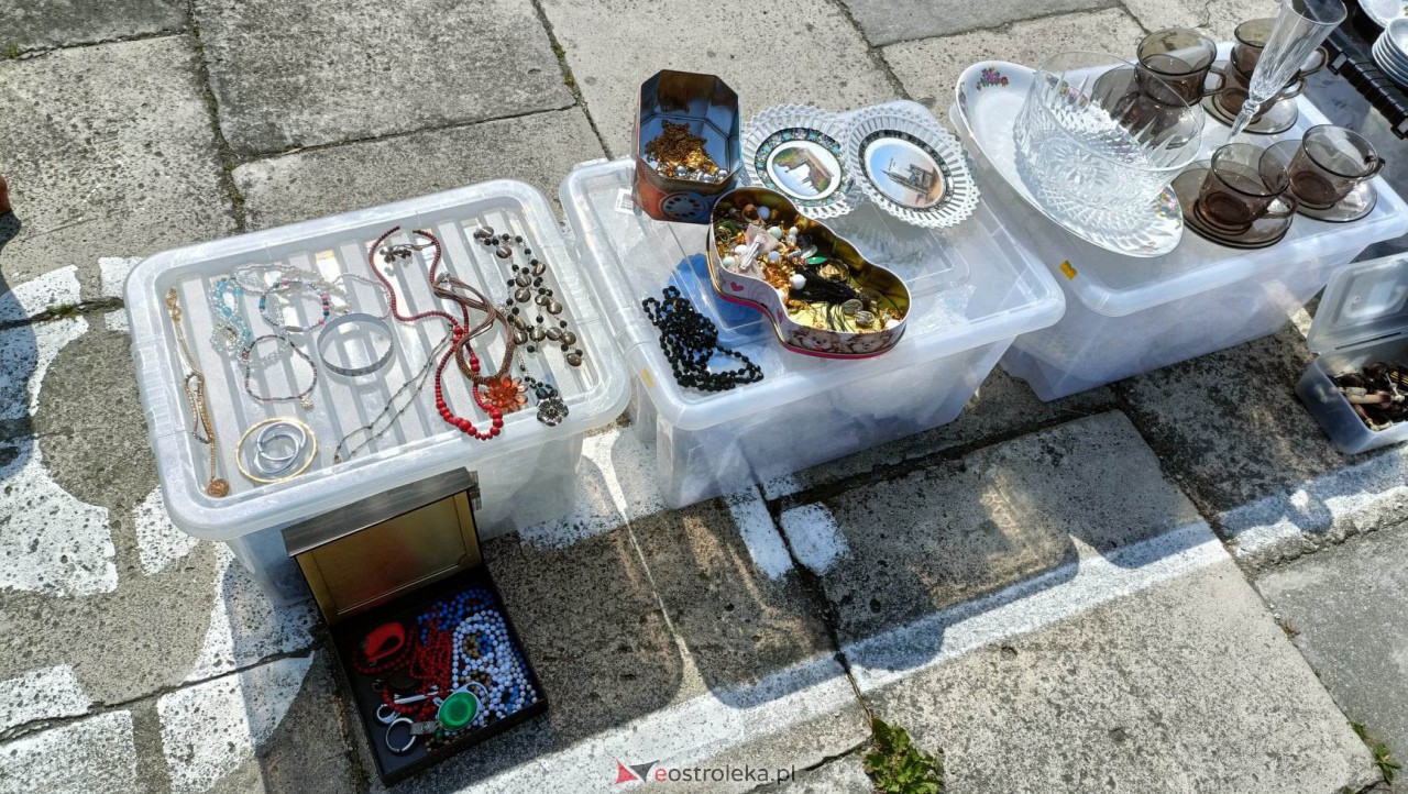 Pchli Targ w Ostrołęce [20.05.2023] - zdjęcie #80 - eOstroleka.pl