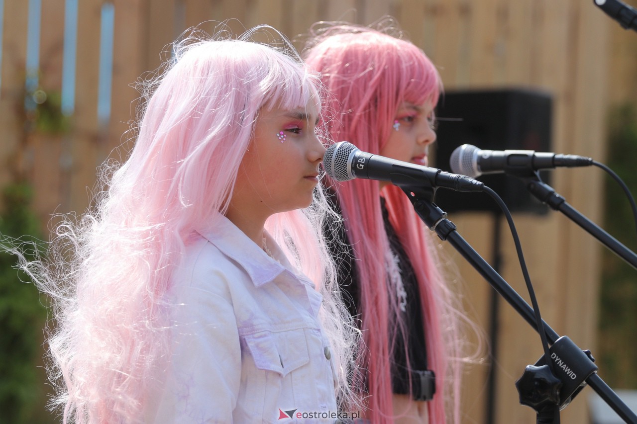 Przegląd Amatorskich Form Artystycznych [27.05.2023] - zdjęcie #10 - eOstroleka.pl