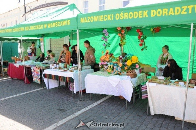 Dzień Ziemi w Ostołęce (08.05.2011) - zdjęcie #94 - eOstroleka.pl