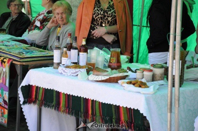Dzień Ziemi w Ostołęce (08.05.2011) - zdjęcie #91 - eOstroleka.pl