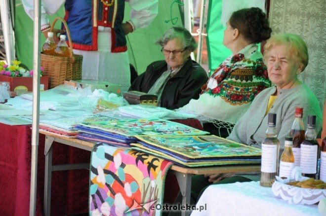 Dzień Ziemi w Ostołęce (08.05.2011) - zdjęcie #90 - eOstroleka.pl