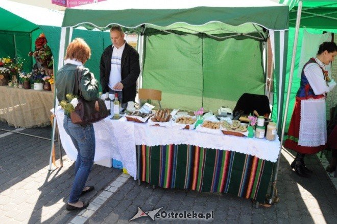 Dzień Ziemi w Ostołęce (08.05.2011) - zdjęcie #89 - eOstroleka.pl