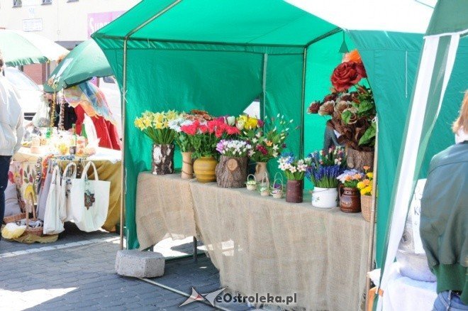 Dzień Ziemi w Ostołęce (08.05.2011) - zdjęcie #88 - eOstroleka.pl