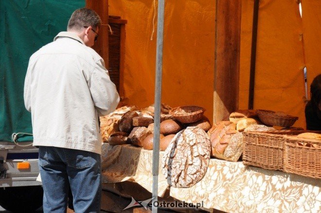 Dzień Ziemi w Ostołęce (08.05.2011) - zdjęcie #86 - eOstroleka.pl