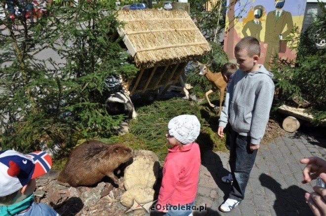 Dzień Ziemi w Ostołęce (08.05.2011) - zdjęcie #69 - eOstroleka.pl