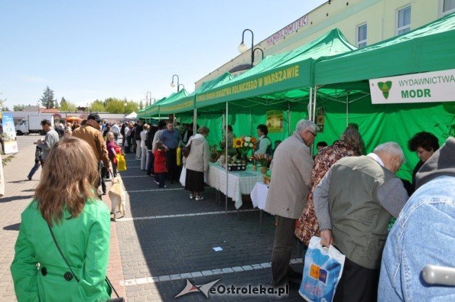 Dzień Ziemi w Ostołęce (08.05.2011) - zdjęcie #62 - eOstroleka.pl