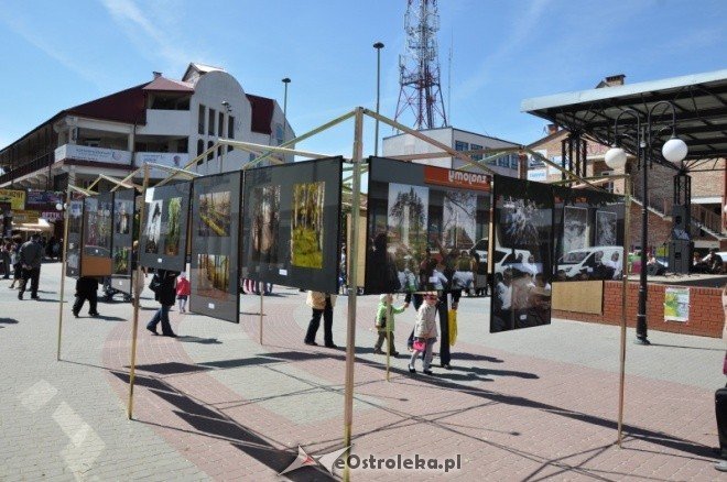 Dzień Ziemi w Ostołęce (08.05.2011) - zdjęcie #60 - eOstroleka.pl