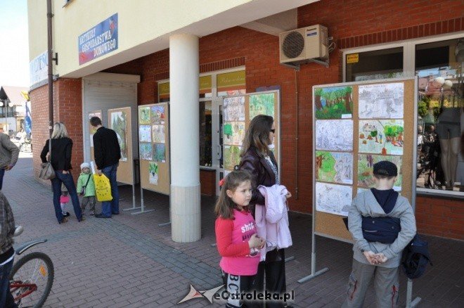 Dzień Ziemi w Ostołęce (08.05.2011) - zdjęcie #57 - eOstroleka.pl