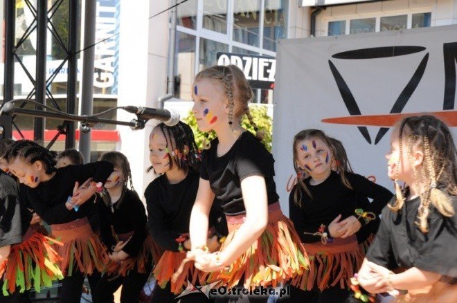 Dzień Ziemi w Ostołęce (08.05.2011) - zdjęcie #18 - eOstroleka.pl