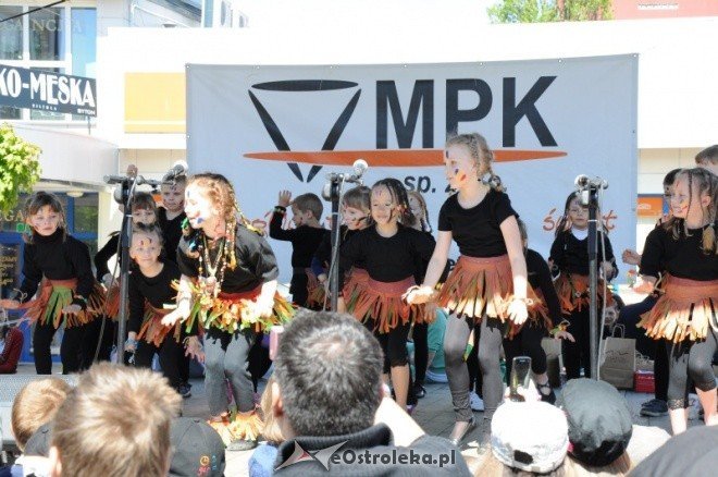 Dzień Ziemi w Ostołęce (08.05.2011) - zdjęcie #11 - eOstroleka.pl