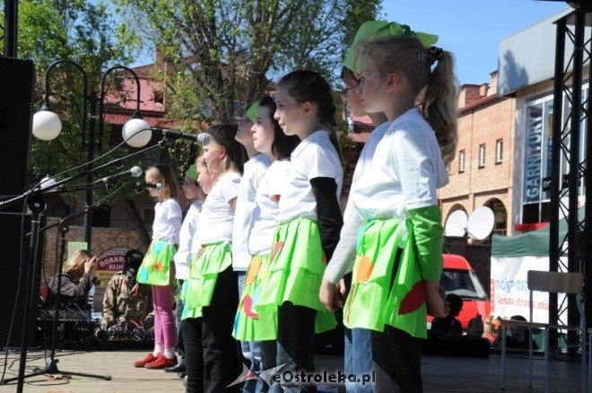 Dzień Ziemi w Ostołęce (08.05.2011) - zdjęcie #4 - eOstroleka.pl