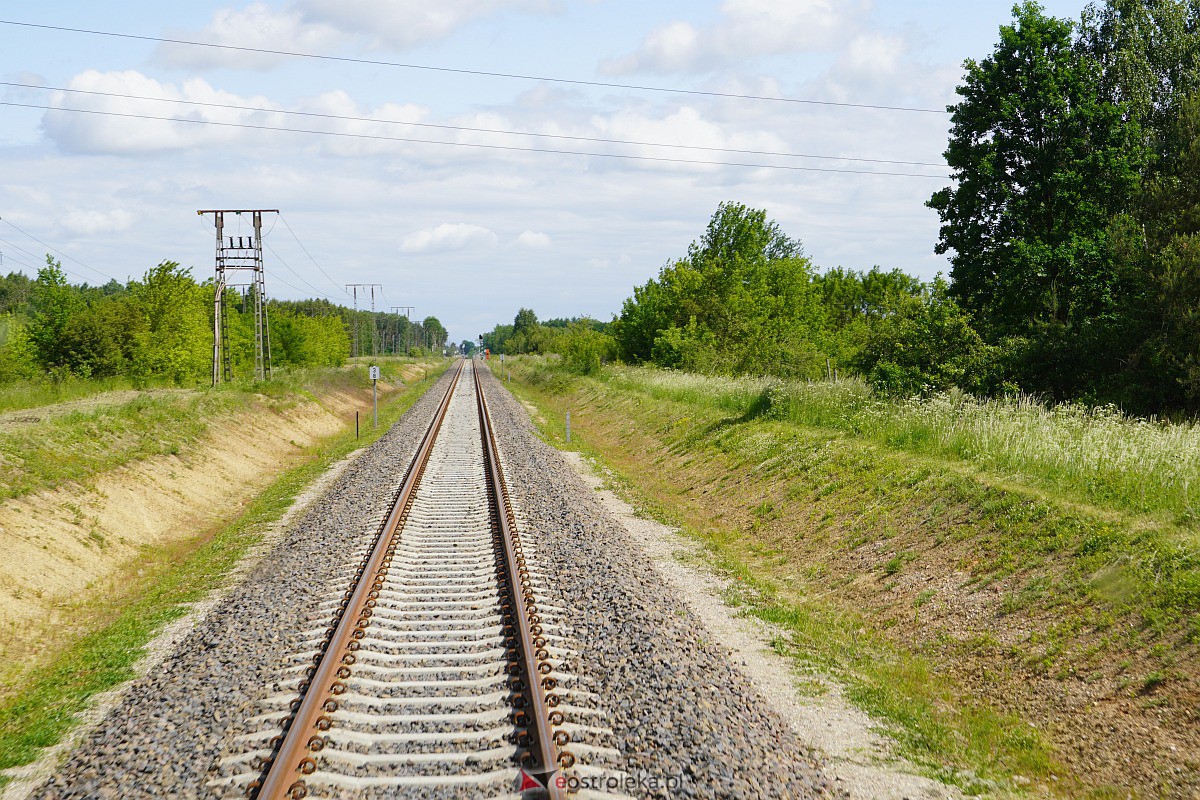 Konferencja PKP PLK - Otwarcie linii kolejowej Ostrołęka - Chorzele - zdjęcie #27 - eOstroleka.pl