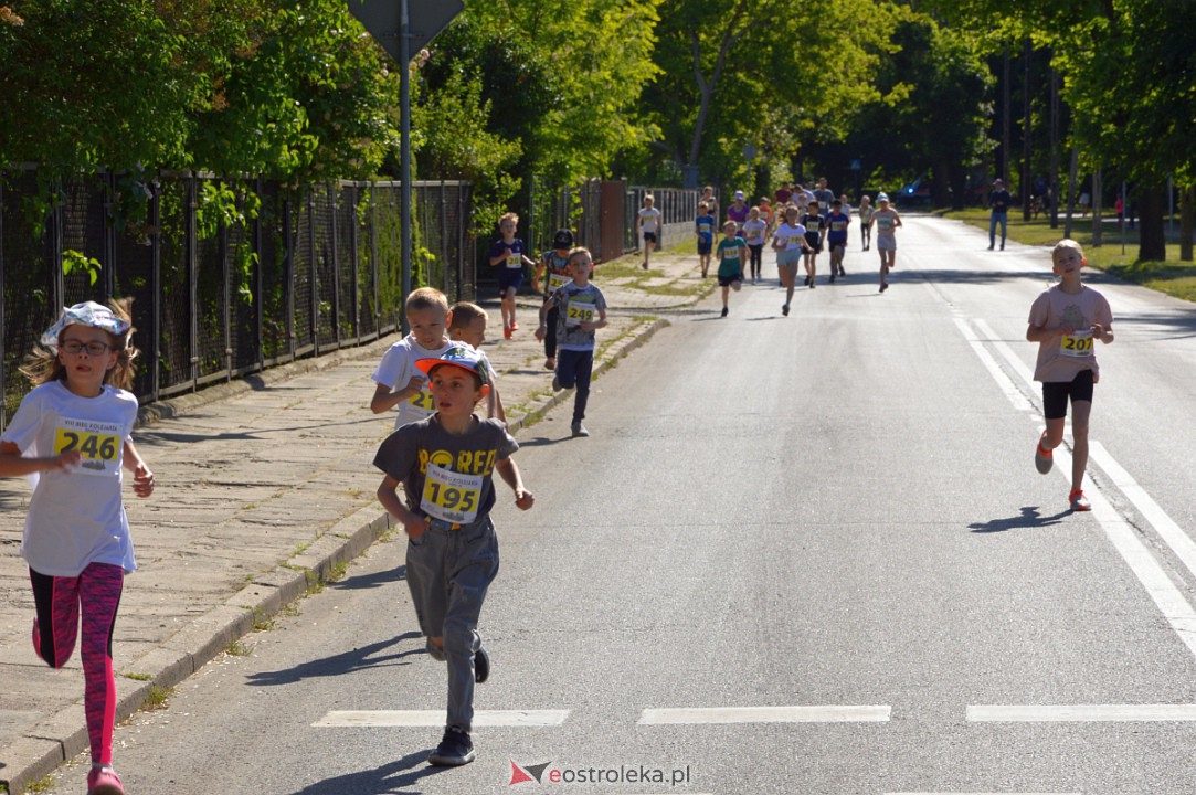 Bieg Kolejarza 2023 [03.06.2023] - zdjęcie #177 - eOstroleka.pl