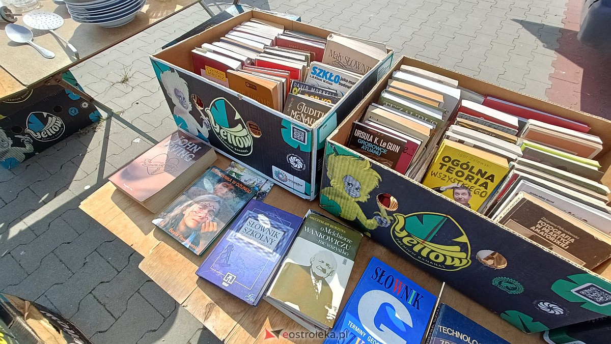 Targ staroci i rozmaitości w Goworowie [10.06.2023] - zdjęcie #100 - eOstroleka.pl