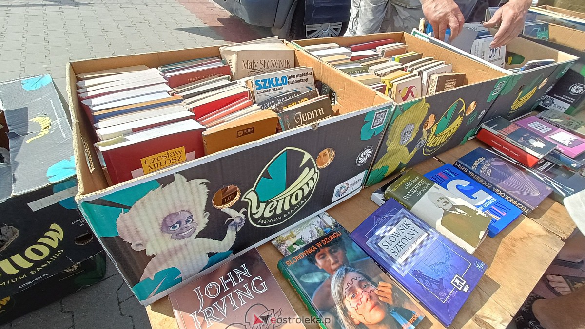 Targ staroci i rozmaitości w Goworowie [10.06.2023] - zdjęcie #98 - eOstroleka.pl