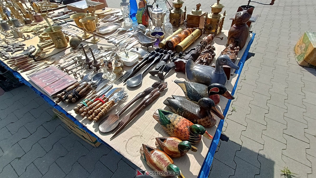 Targ staroci i rozmaitości w Goworowie [10.06.2023] - zdjęcie #81 - eOstroleka.pl