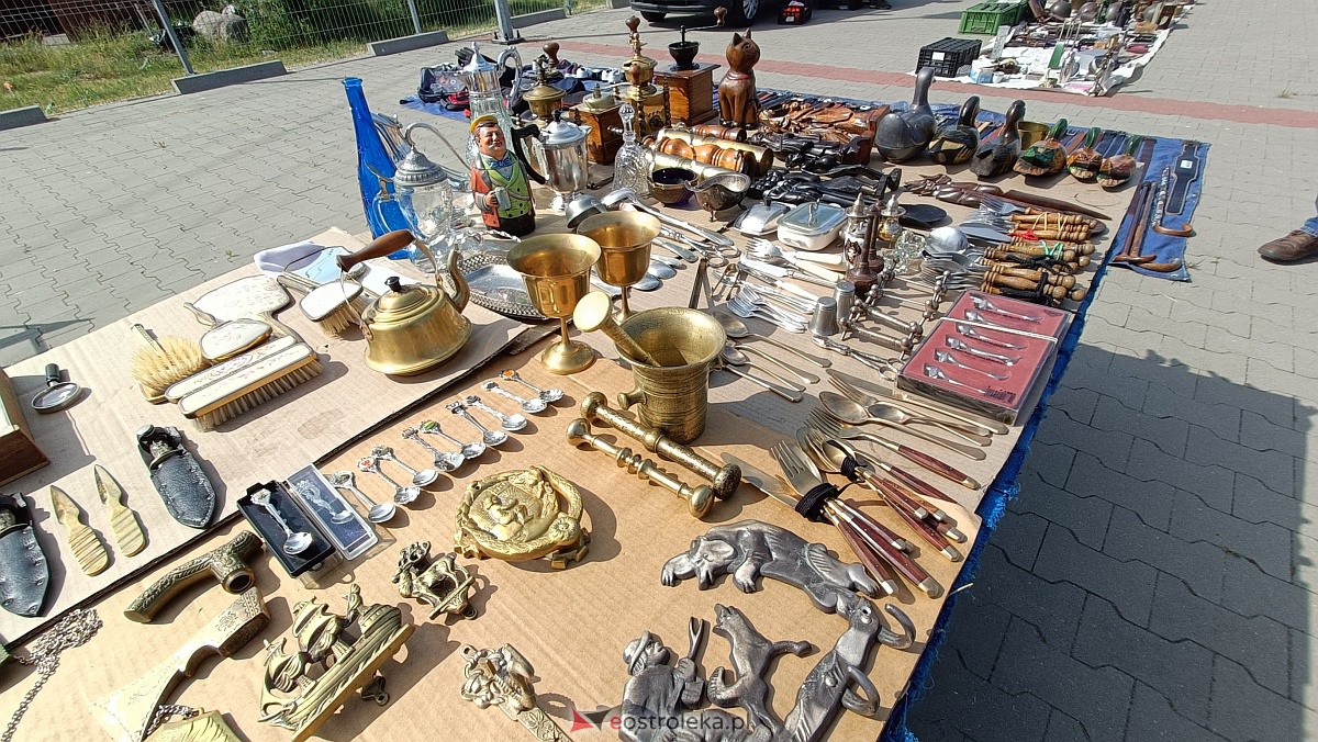 Targ staroci i rozmaitości w Goworowie [10.06.2023] - zdjęcie #78 - eOstroleka.pl