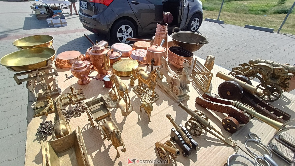 Targ staroci i rozmaitości w Goworowie [10.06.2023] - zdjęcie #76 - eOstroleka.pl