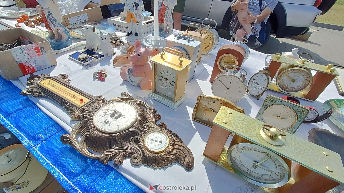 Targ staroci i rozmaitości w Goworowie [10.06.2023] - zdjęcie #70 - eOstroleka.pl