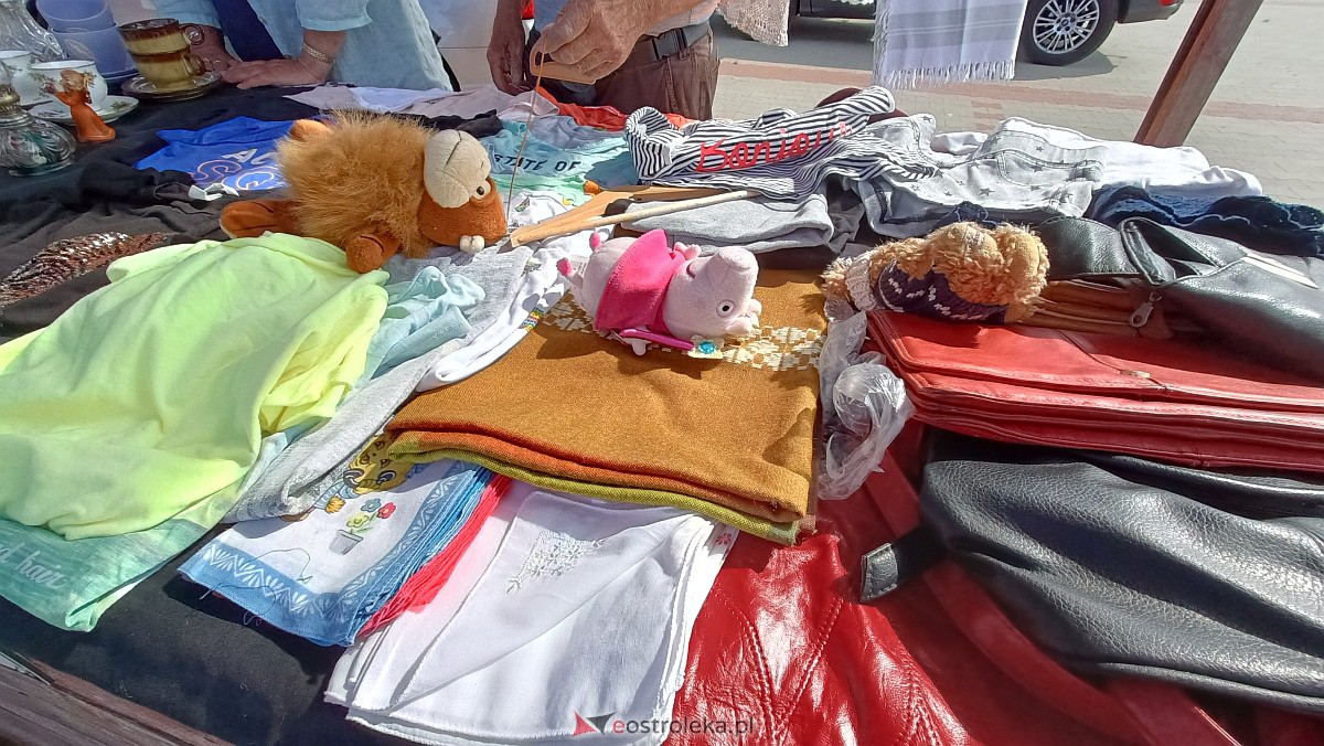 Targ staroci i rozmaitości w Goworowie [10.06.2023] - zdjęcie #12 - eOstroleka.pl