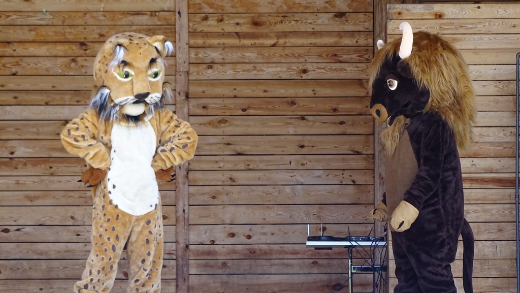 Rodzinny Festyn w Myszyńcu „Zdrowa rodzina bez uzależnień” - zdjęcie #43 - eOstroleka.pl