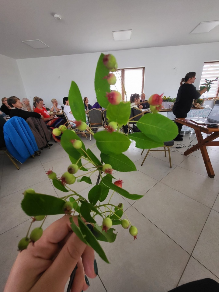 Mazowieckie Dobre Praktyki i Tradycje Kulinarne Podstawy Zielarstwa [14.06.2023] - zdjęcie #7 - eOstroleka.pl