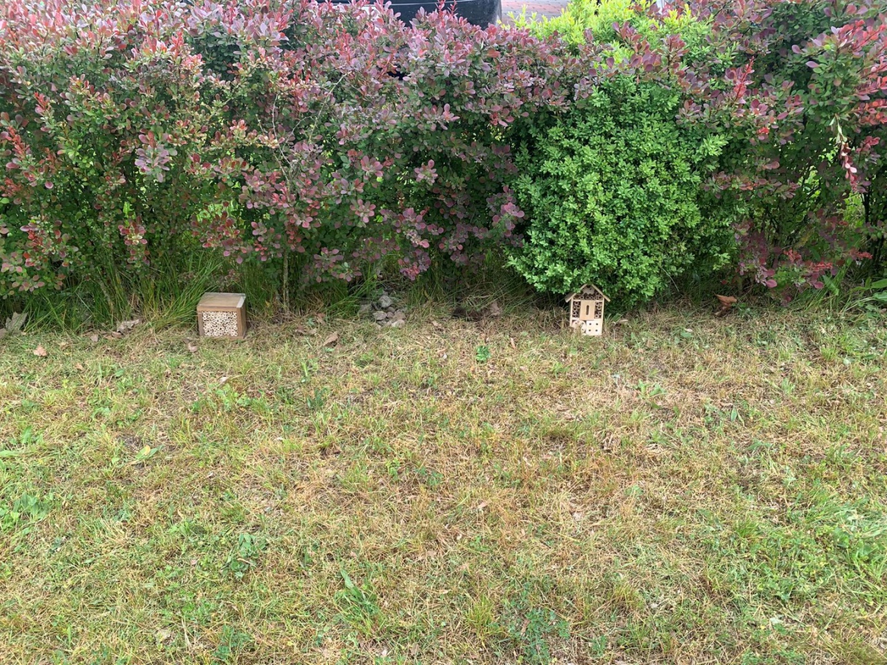 Zespół „Kurpiowski sad” z ZSZ 2 w Ostrołece posadził „Tradycyjny sad” - zdjęcie #21 - eOstroleka.pl