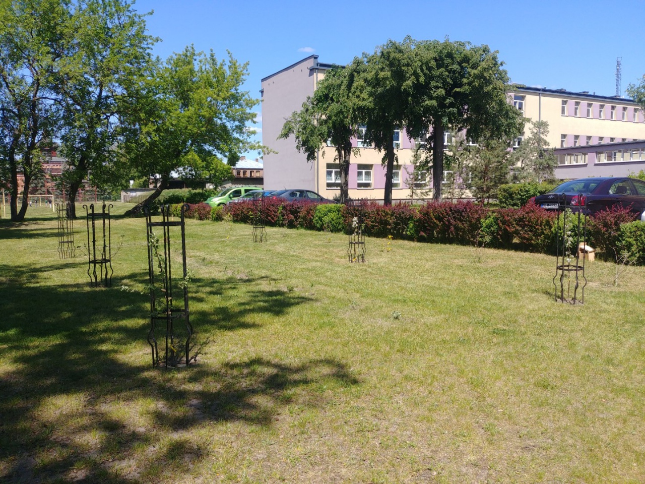 Zespół „Kurpiowski sad” z ZSZ 2 w Ostrołece posadził „Tradycyjny sad” - zdjęcie #17 - eOstroleka.pl