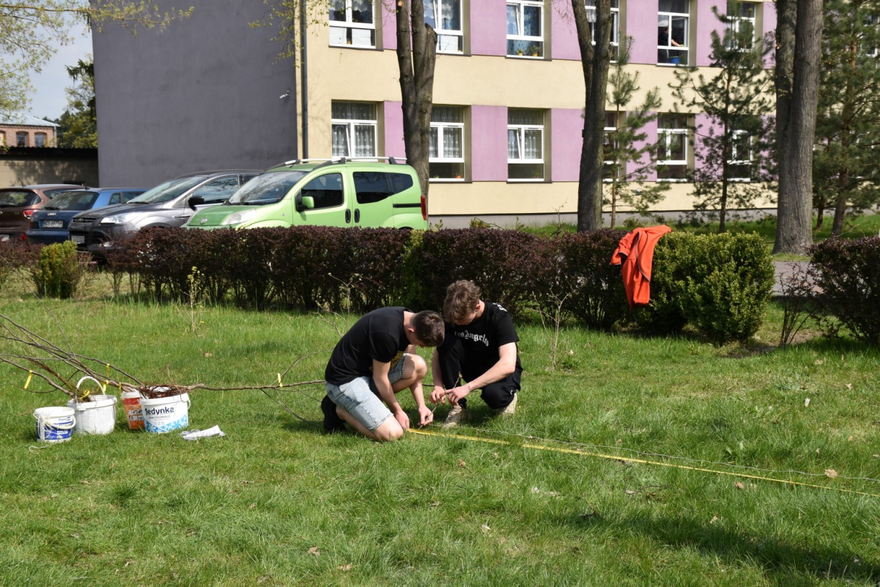 Zespół „Kurpiowski sad” z ZSZ 2 w Ostrołece posadził „Tradycyjny sad” - zdjęcie #7 - eOstroleka.pl