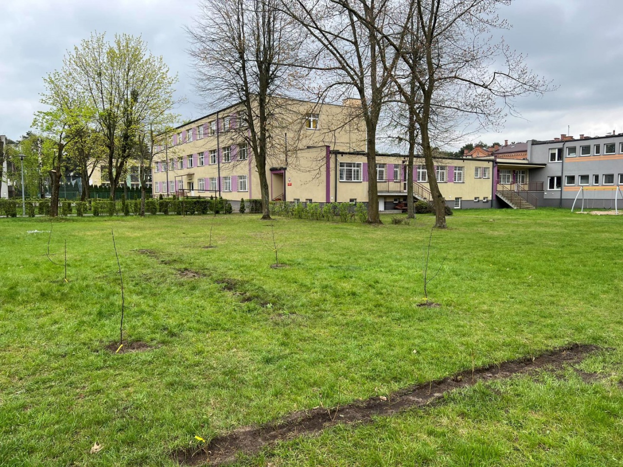 Zespół „Kurpiowski sad” z ZSZ 2 w Ostrołece posadził „Tradycyjny sad” - zdjęcie #2 - eOstroleka.pl