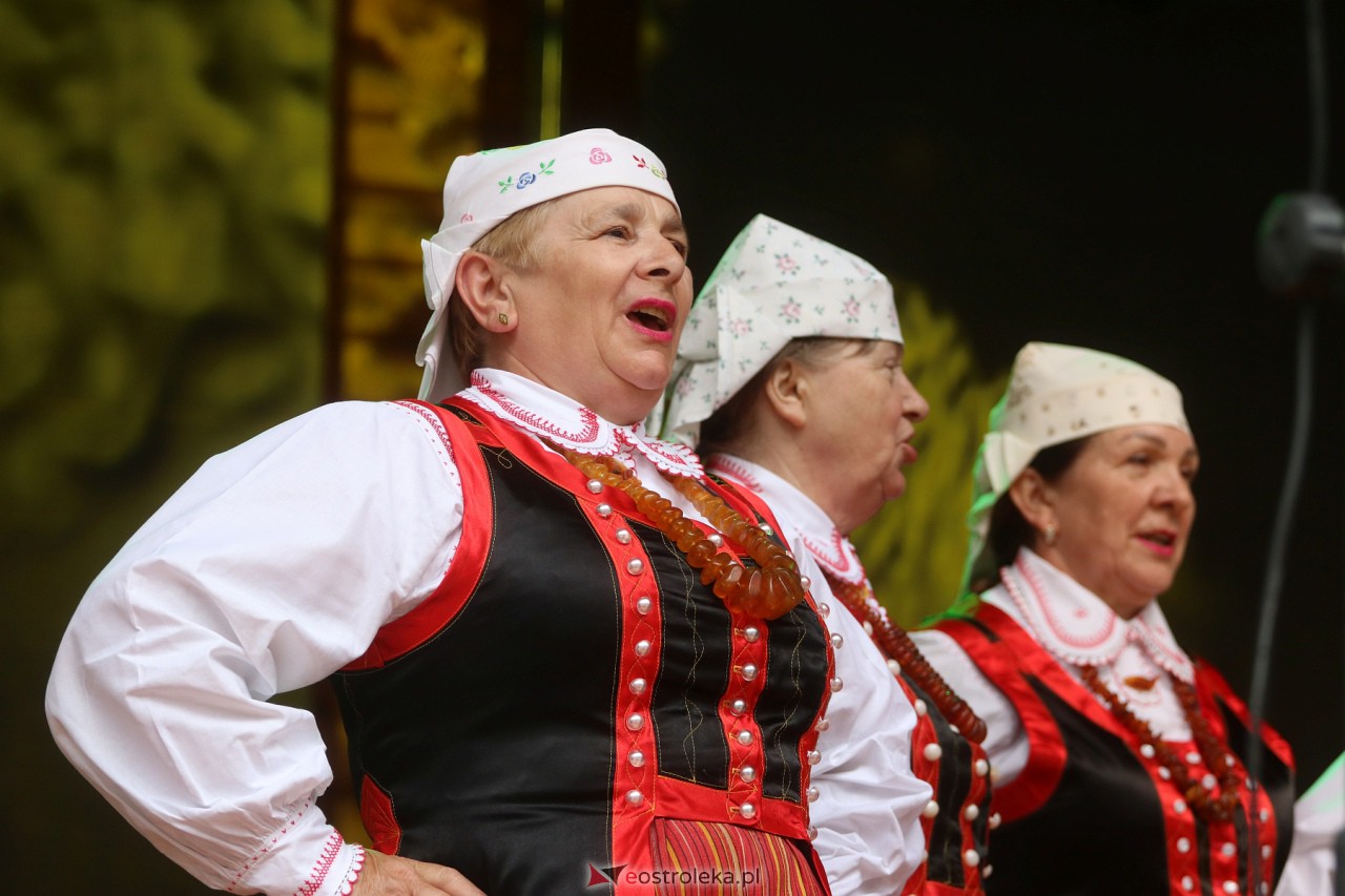 Wesele Kurpiowskie 2023 [18.06.2023] - zdjęcie #31 - eOstroleka.pl